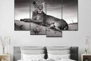 Модульна картина із чотирьох частин Art Studio Shop Погляд леопарду 89x56 см (M4_M_92)
