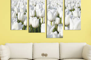 Модульная картина из четырех частей KIL Art Белое поле 89x56 см (237-42)