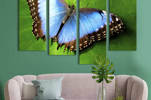 Модульная картина из четырех частей KIL Art Диковинная бабочка с голубыми крыльями 129x90 см (132-42)