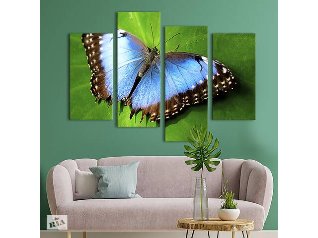 Модульная картина из четырех частей KIL Art Диковинная бабочка с голубыми крыльями 149x106 см (132-42)