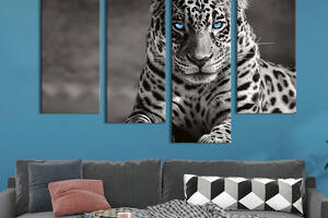 Модульная картина из четырех частей KIL Art Голубоглазый хищник ягуар 129x90 см (177-42)