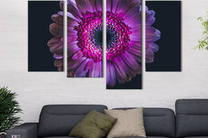 Модульная картина из четырех частей KIL Art Красота пурпурной герберы 129x90 см (257-42)