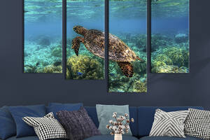 Модульная картина из четырех частей KIL Art Красивая морская черепаха 129x90 см (197-42)