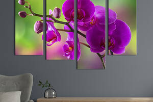 Модульная картина из четырех частей KIL Art Красивая ветка орхидеи 129x90 см (238-42)