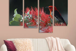 Модульная картина из четырех частей KIL Art Маленькая красно-чёрная птица 89x56 см (129-42)