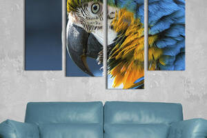 Модульная картина из четырех частей KIL Art Попугай с рода ара 89x56 см (157-42)