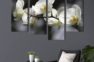 Модульная картина из четырех частей KIL Art Прекрасная белоснежная орхидея 89x56 см (230-42)