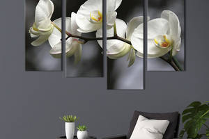 Модульная картина из четырех частей KIL Art Прекрасная белоснежная орхидея 149x106 см (230-42)
