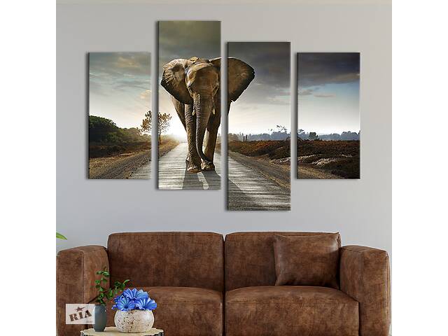 Модульная картина из четырех частей KIL Art Слон в лучах рассвета 129x90 см (135-42)
