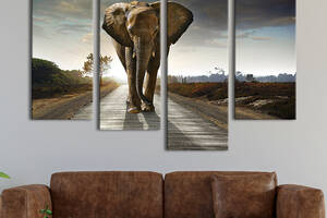 Модульная картина из четырех частей KIL Art Слон в лучах рассвета 149x106 см (135-42)