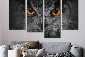 Модульная картина из четырех частей KIL Art Загадочный взгляд совы 89x56 см (139-42)