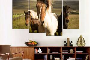 Модульна картина із чотирьох частин у вітальню спальню для інтер'єру Три коні KIL Art 129x90 см (M4_L_600)