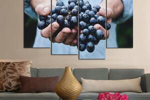 Модульна картина із чотирьох частин у вітальню спальню для інтер'єру Соковитий виноград KIL Art 129x90 см (M4_L_640)