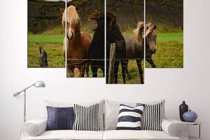 Модульная картина из четырех частей в гостиную спальню для интерьера Лошади на ферме KIL Art 89x56 см (M4_M_604)