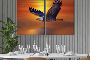 Модульная картина из двух частей KIL Art Белоголовый орлан летит на закате 71x51 см (1758-2)
