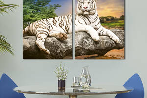 Модульная картина из двух частей KIL Art Белый тигр с темно-коричневыми полосками лежит на камне 71x51 см