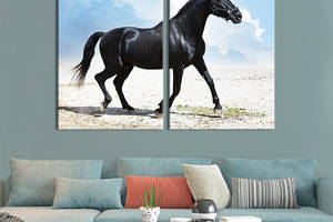 Модульная картина из двух частей KIL Art Черная лошадь угольного цвета бежит по белой поверхности 111x81 см