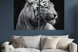 Модульная картина из двух частей KIL Art Черно-белый профиль тигра 71x51 см (1700-2)