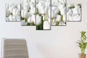 Модульна картина із п'яти частин Art Studio Shop Білі тюльпани 112x48 см (M5_M_76)