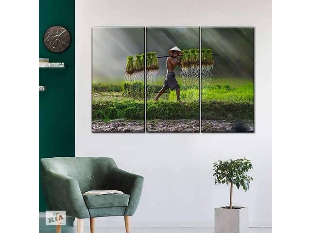 Модульная картина из трех частей Art Studio Shop Азиатский крестьянин 128x81 см (M3_L_47)