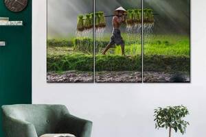 Модульна картина із трьох частин Art Studio Shop Азіатський селянин 78x48 см (M3_M_47)