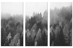Модульна картина із трьох частин Art Studio Shop Чорно-білий ліс 128x81 см (M3_L_28)