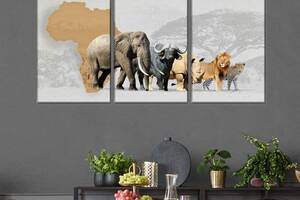 Модульная картина из трех частей Art Studio Shop Дикая Африка 78x48 см (M3_M_135)