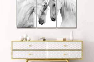 Модульная картина из трех частей Art Studio Shop Пара белых лошадей 128x81 см (M3_L_74)