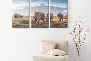 Модульна картина із трьох частин Art Studio Shop Зграя слонів 78x48 см (M3_M_10)