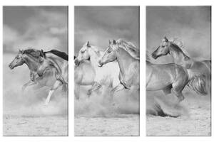 Модульная картина из трех частей Art Studio Shop Табун лошадей 78x48 см (M3_M_5)
