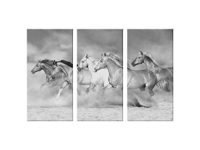 Модульная картина из трех частей Art Studio Shop Табун лошадей 78x48 см (M3_M_5)