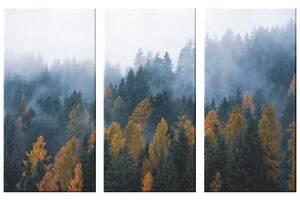 Модульна картина із трьох частин Art Studio Shop Туман у лісі 128x81 см (M3_L_7)