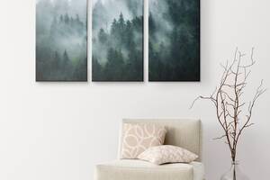 Модульна картина із трьох частин Art Studio Shop Туманний ліс 128x81 см (M3_L_15)
