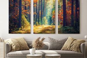 Модульна картина із трьох частин Art Studio Shop В осінньому лісі 128x81 см (M3_L_3)