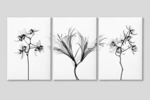 Модульная картина из трех частей Black Flowers Malevich Store 156x100 см (MK311601)