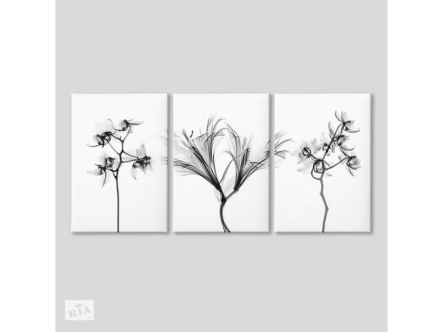 Модульная картина из трех частей Black Flowers Malevich Store 96x60 см (MK311601)