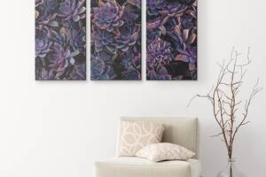 Модульная картина из трех частей KIL Art Пурпурные суккуленты 156x100 см (M3_XL_29)