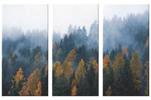 Модульная картина из трех частей KIL Art Туман в лесу 156x100 см (M3_XL_7)