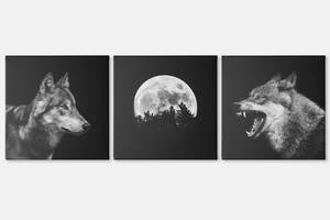 Модульна картина із трьох частин Malevich Store 156x50 см Wolf (MK322407)