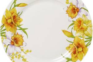 Набор 6 фарфоровых обеденных тарелок 'Нарцисс' Ø27см