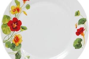 Набор 6 фарфоровых обеденных тарелок 'Настурция' Ø27см