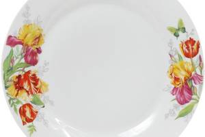 Набор 6 фарфоровых обеденных тарелок 'Огненные ирисы' Ø27см