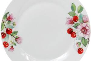 Набор 6 фарфоровых обеденных тарелок 'Вишня' Ø27см
