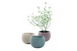 Набор горшков для цветов Keter 3 шт./1.4л Cozies Herb Pot