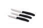 Набор кухонных овощных ножей Victorinox Swiss Classic Paring Set 3 шт Черный (6.7113.3)