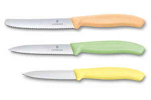 Набор Victorinox Swiss Classic Trend Colors Paring Knife Set из 3-х ножей (6.7116.34L2)