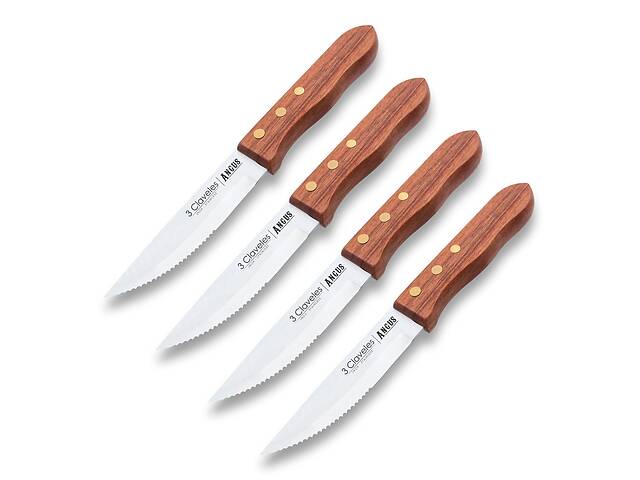 Набор из 4 кухонных стейковых ножей 3 Claveles Angus (01047)