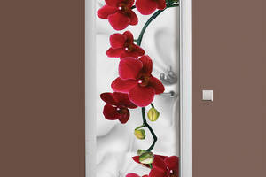 Наклейка на дверь Zatarga Орхидея алая жемчужина 650х2000 мм (z180205 dv)