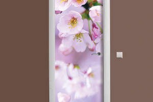 Наклейка на дверь Zatarga Яблочное цветение 650х2000 мм Розовый (z180212 dv)