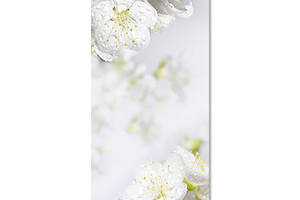 Наклейка на холодильник Zatarga 'Белые Цветы Вишни' 650х2000 мм (Z181336re)